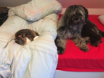 Gigi: Bleib mir vom Leib! Gaia: Was kostet die Welt!