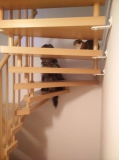 Begegnung auf der Treppe