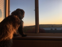 Gaia im Ausguck
