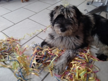 Oh, Weihnachten ist nicht Karneval. Trotzdem allen ein frohes und besinnliches Weihnachtsfest!