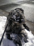 Gaia macht den Yeti
