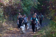 die Wandergruppe