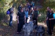 die Wandergruppe