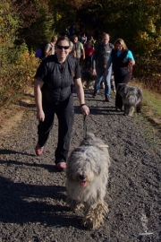 die Wandergruppe