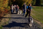die Wandergruppe