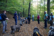 die Wandergruppe