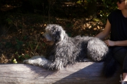A´Nedra