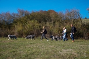 die Wandergruppe