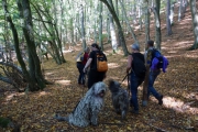 auf der Wanderung