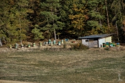 am Wegesrand