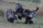 Elwood & Zsuzsa