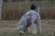 Sam