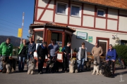 Nachzucht Bergische Bergamasker