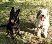 Best Buddies Ronja und Fidelia