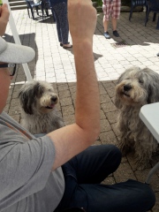 Fidelia und Papa Dr.-Pepper