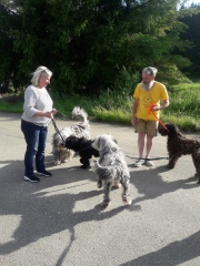 Im Rudel mit Rea, Pepper und Lotti