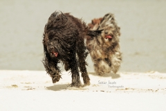 IMG_2365