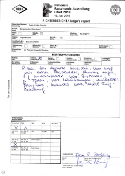 Richter Bericht 20180616