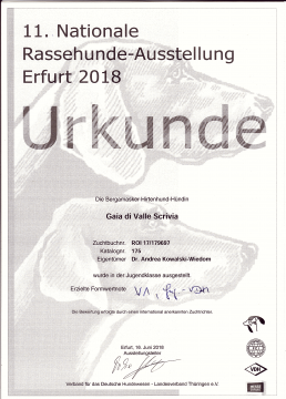 Urkunde 20180616