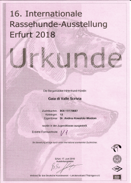 Urkunde 20180617
