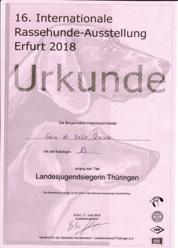 Urkunde 20180617 ThueringenMeisterin