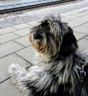 auf dem Bahnhof