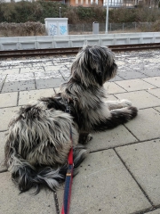 warten auf den Zug