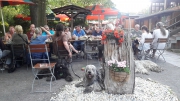 20190601_192606
