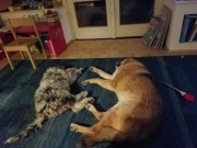 Lea und ihr Buddy Sancho
